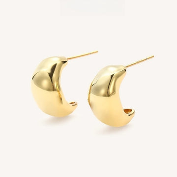【3D Playful Earrings】K Gold Plated | 925 Silver Posts | Hollow Design for Lightweight Comfort Exquisite earrings